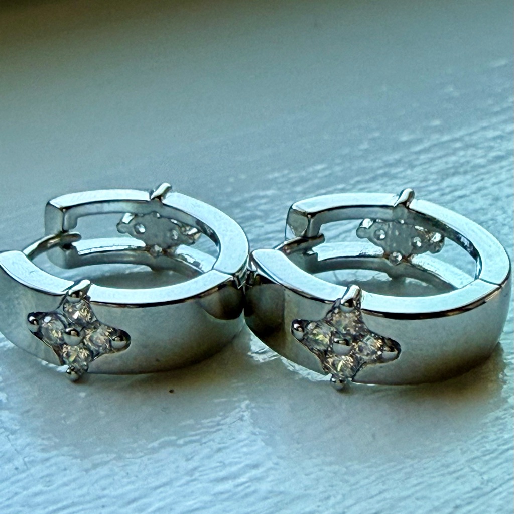 Nwt Pretty Bird Jewelry Micro Huggie Hoop Earrings With Star Cz Accent - Silver 28$